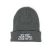 Picture of West Coast Beanie - Sharp Chrome